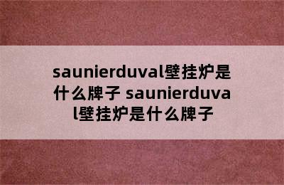 saunierduval壁挂炉是什么牌子 saunierduval壁挂炉是什么牌子